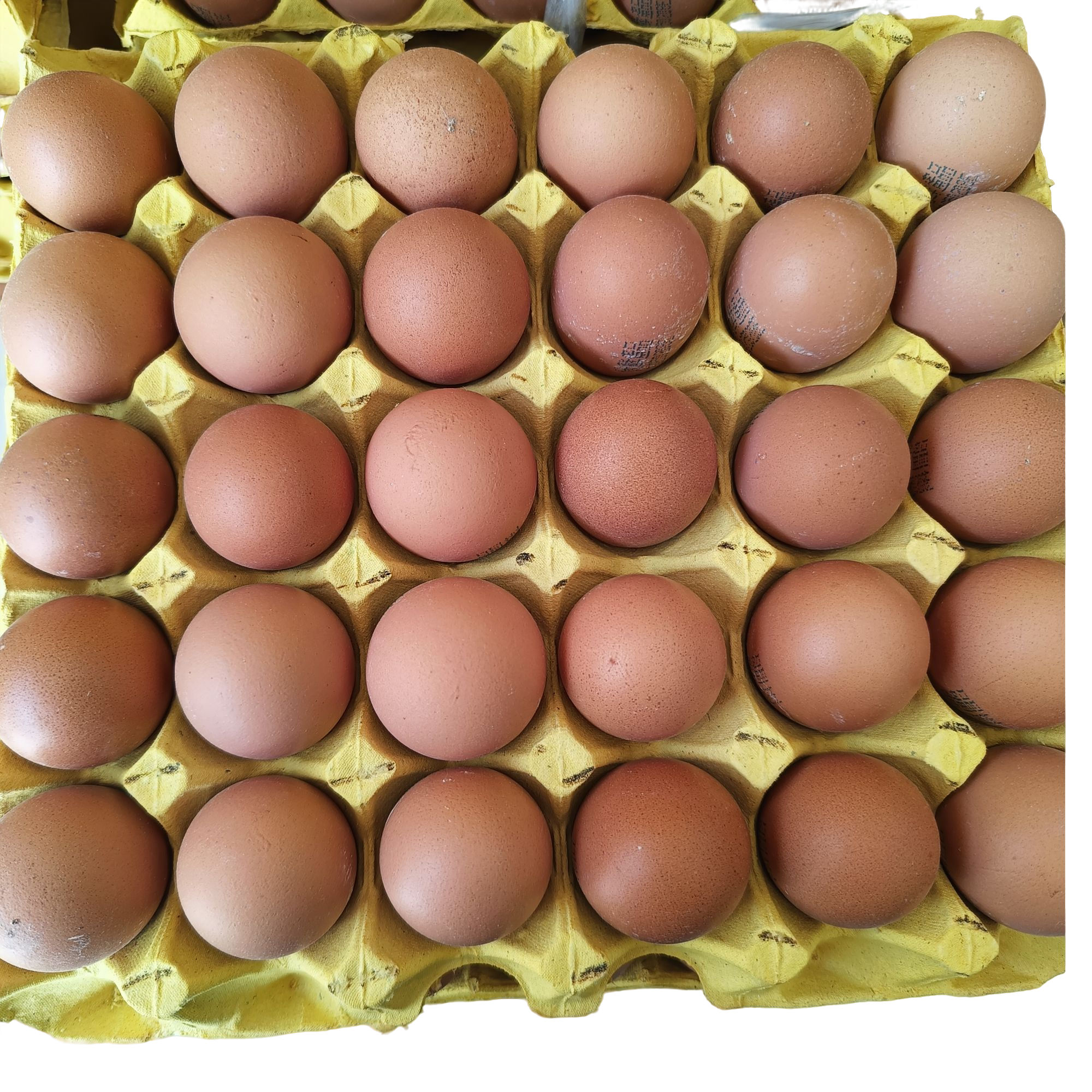 【30枚安全蛋】优鲜安全蛋（30枚）1盘/2盘