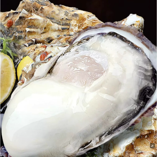 达人专属5斤2-3两乳山生蚝新鲜海蛎子海鲜牡蛎贝壳即食水产