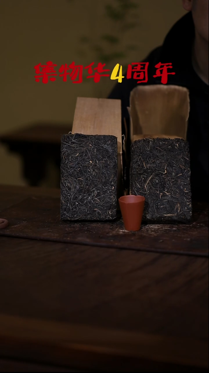 癫2008/2010年生普 两杯