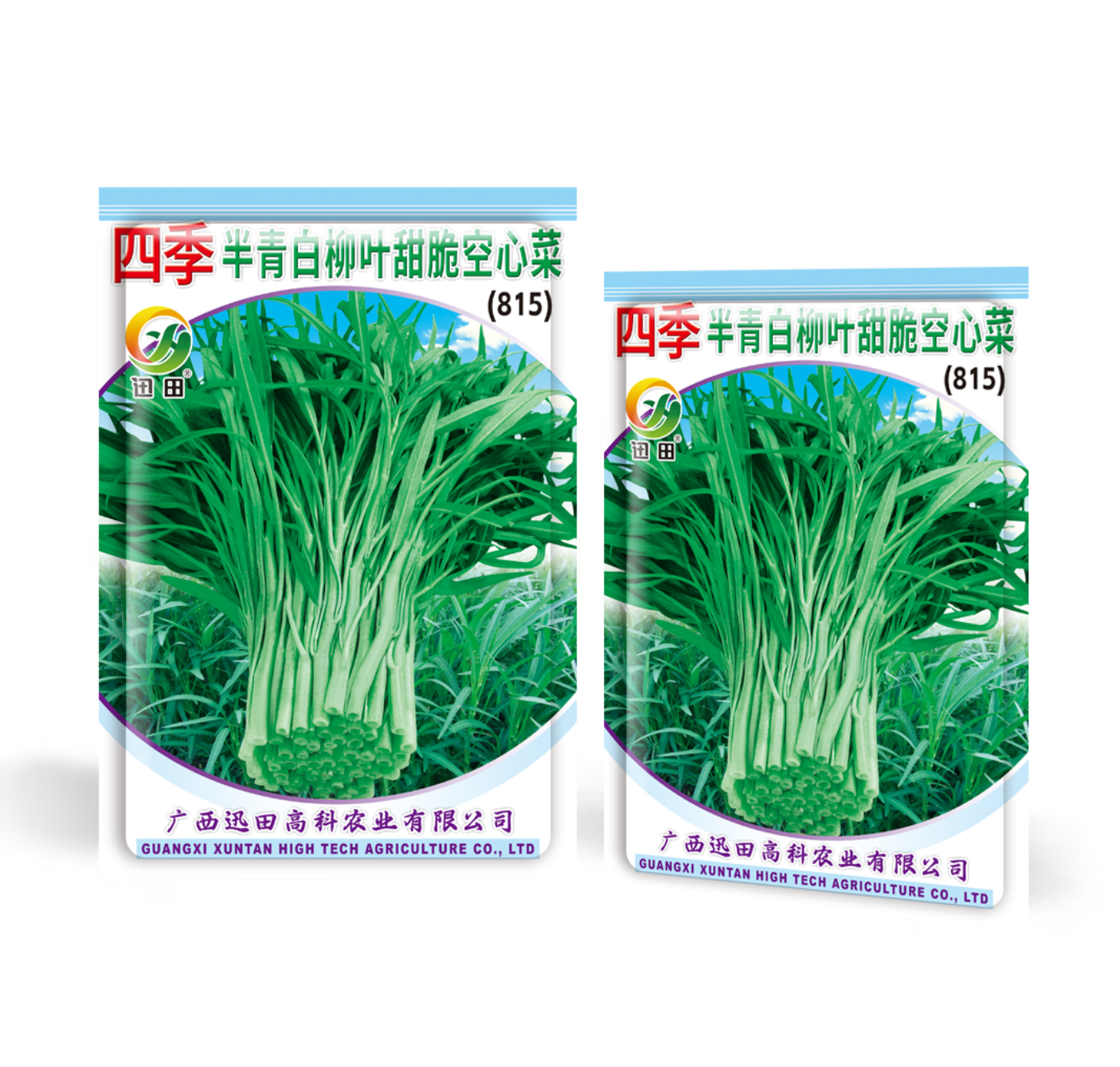 四季半青白柳叶四季播种青梗白梗空心菜种子甜脆可口蔬菜种籽