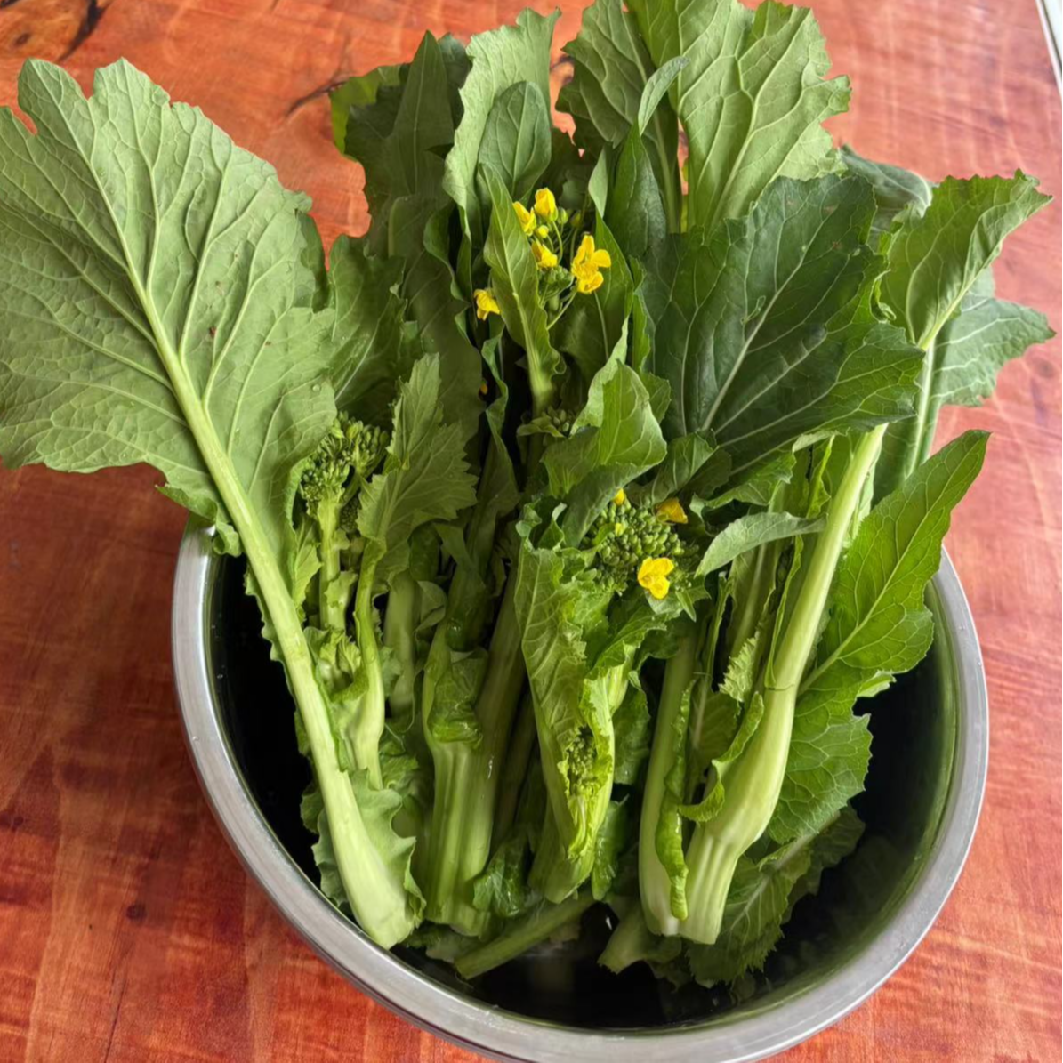 农村农户自己种植的菜苔，现摘现发