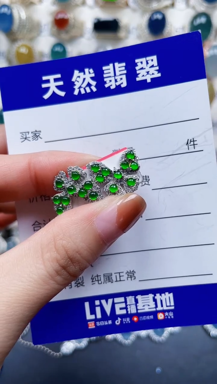 银S925镶嵌翡翠耳饰770