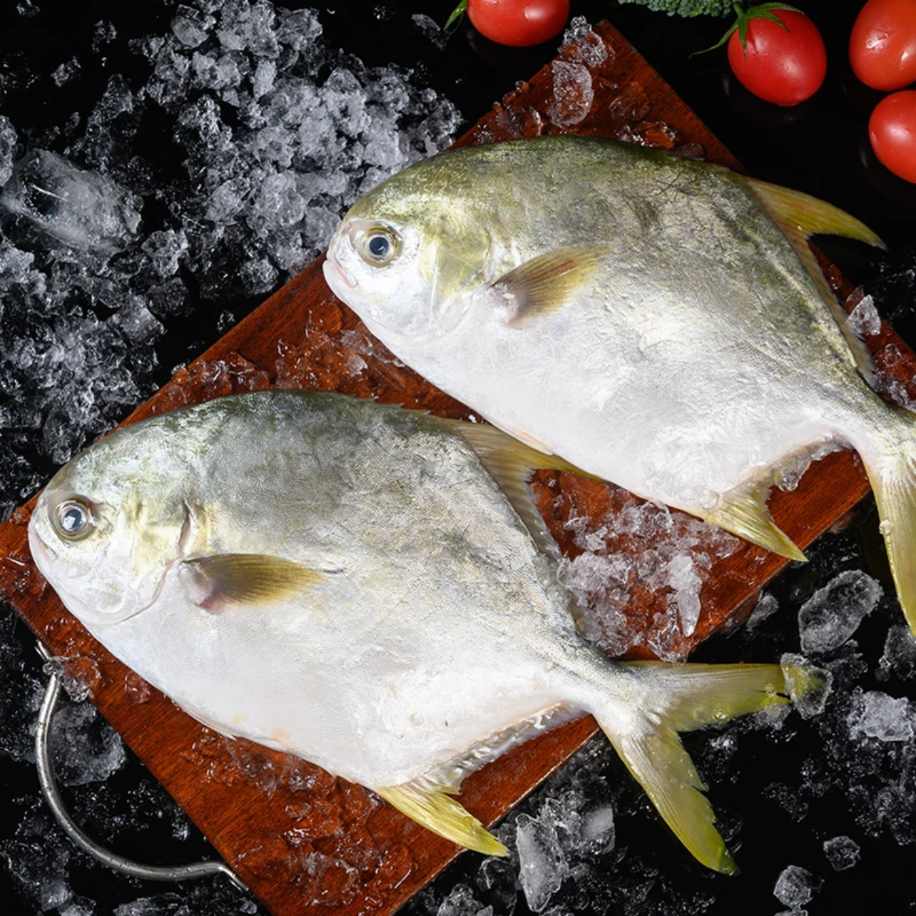 9条深海金鲳鱼鲜活速冻非活发不杀