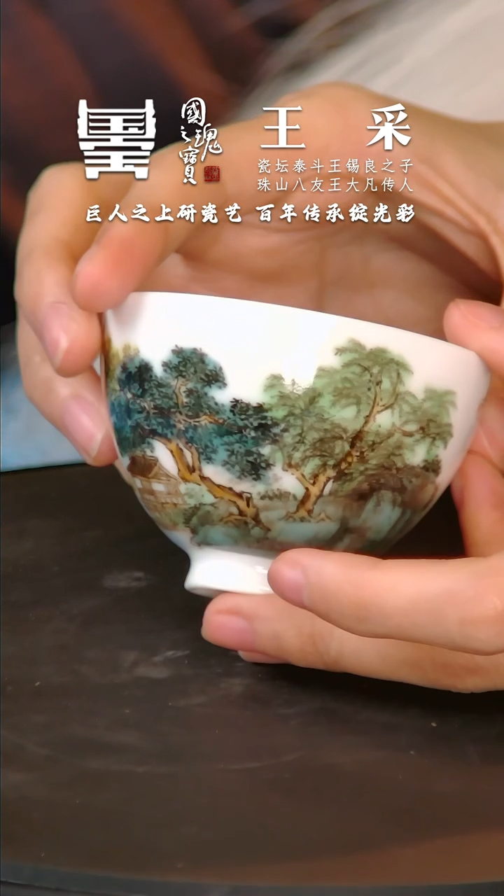 【闪购商品】瓷片王采        流水20
