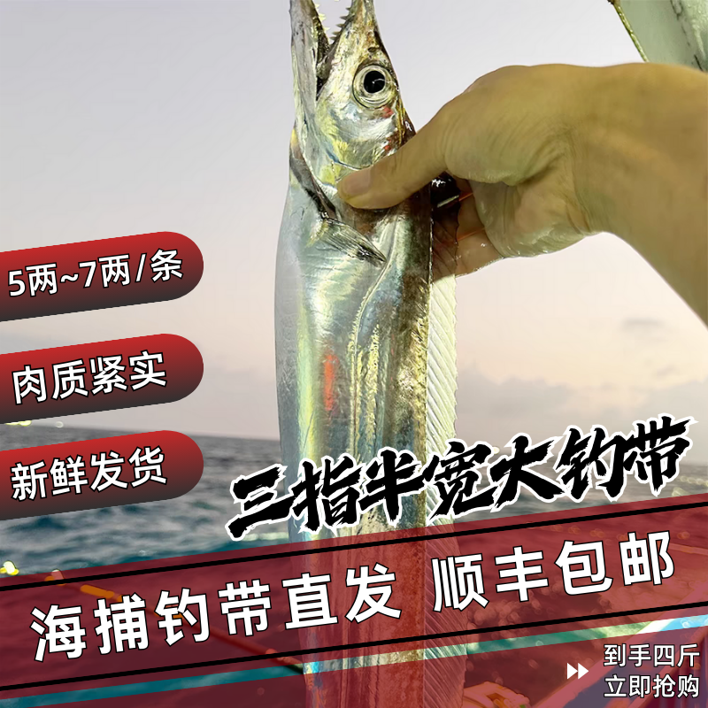 3大带 7两左右/条 青岛油带鱼 新鲜黑眼  净重4斤顺丰包邮