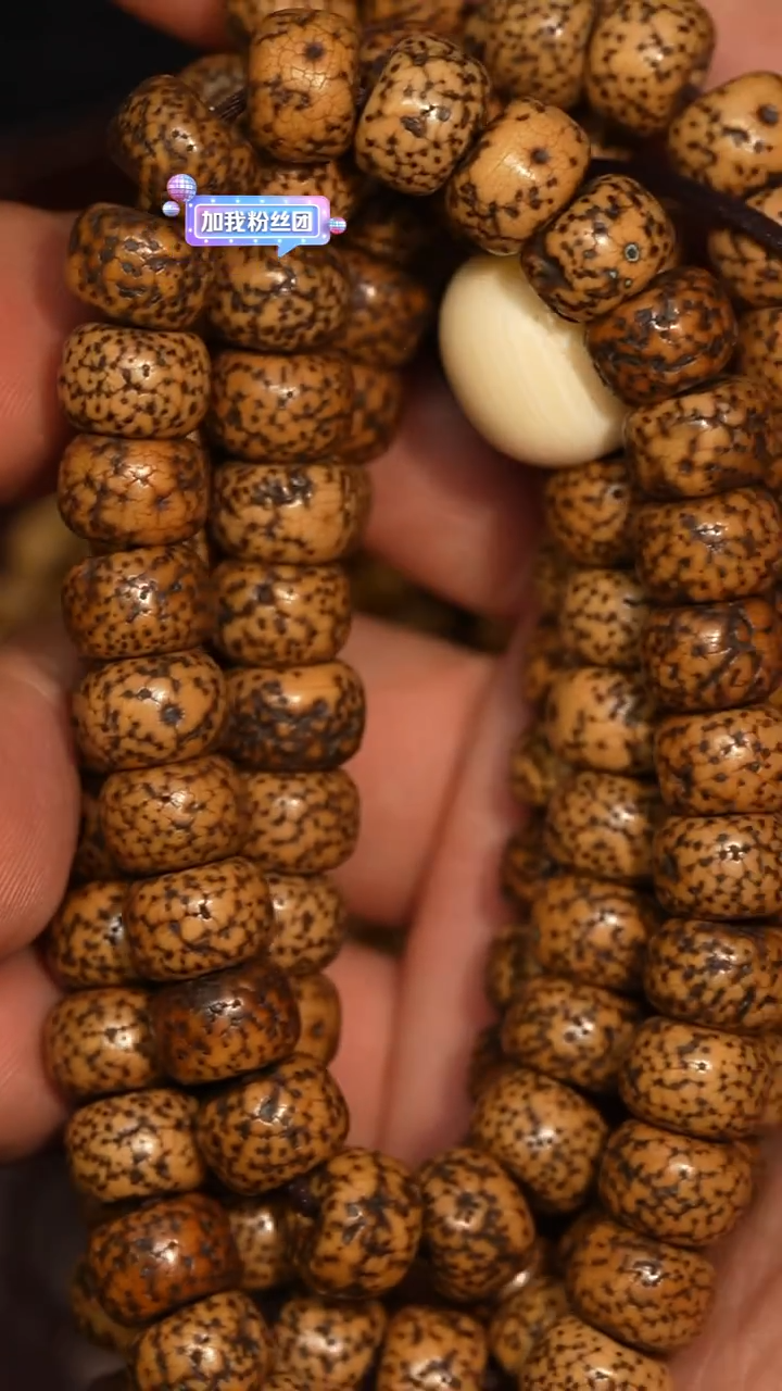 冲赛康胡子哥，藏传念珠46