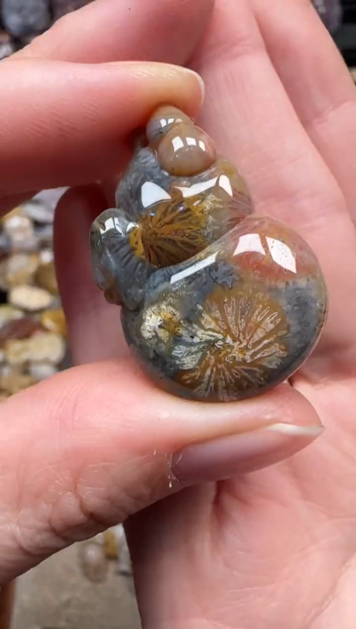 颈饰未镶嵌硅化珊瑚（珊瑚玉）218