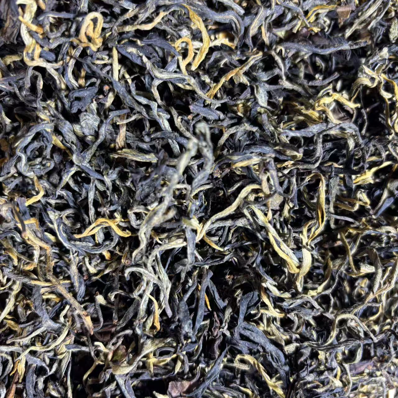 2025年头春大朝山烤红散茶500克6月26日-【6号品】