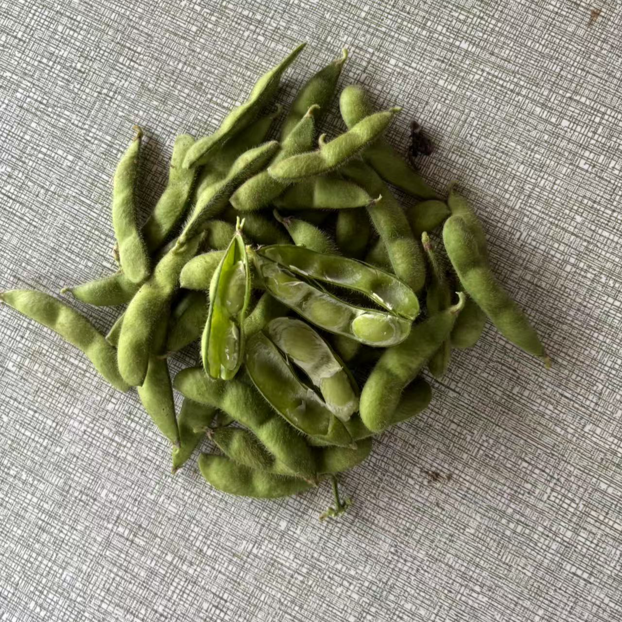 石牌阿丰蔬菜露天种植新鲜毛豆现采摘现发货