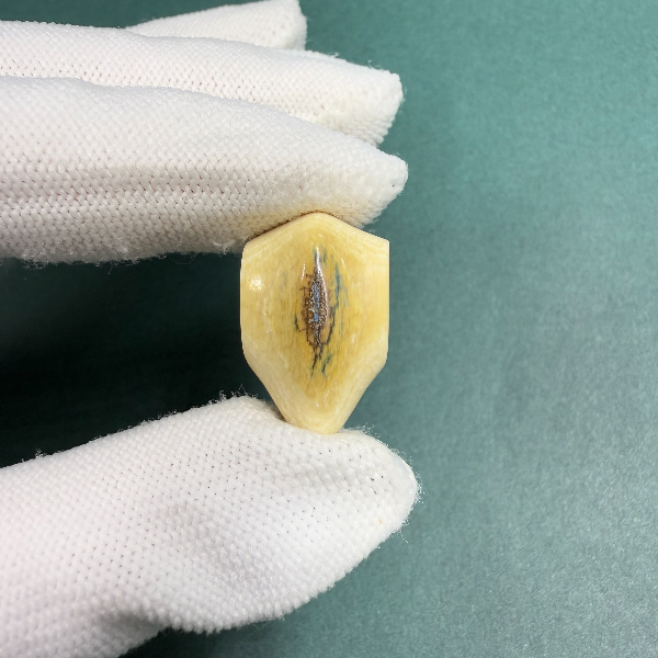 H5731天然猛犸牙鲨鱼背蓝眼三通配饰 支持鉴定 假一罚四