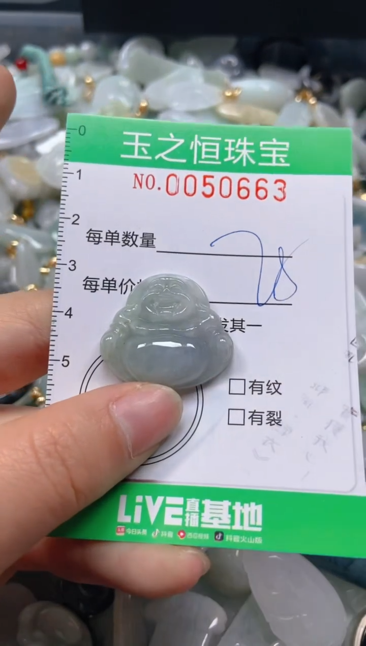 【闪购商品】翡翠颈饰未镶嵌闪购0050663