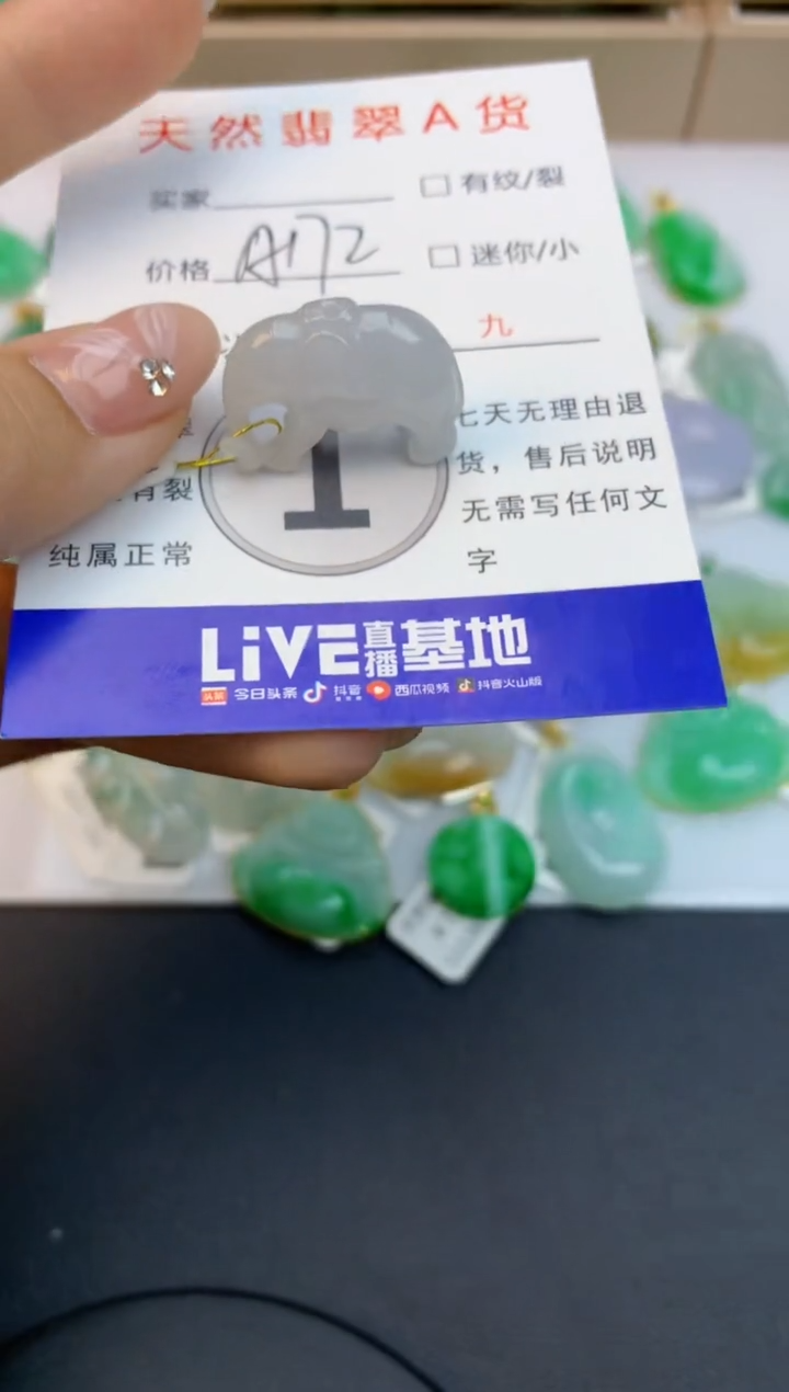 颈饰未镶嵌翡翠天然缅甸a货翡翠百元以上9元证书费自理