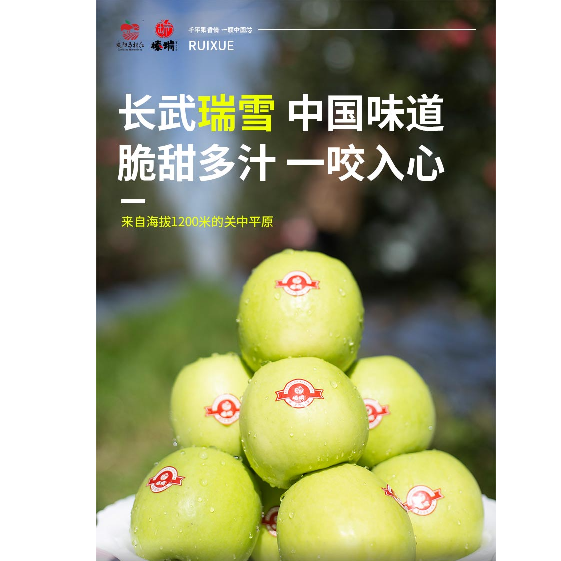 瑞雪10斤装微瑕果，表面有瑕疵不影响口感介意者慎拍！