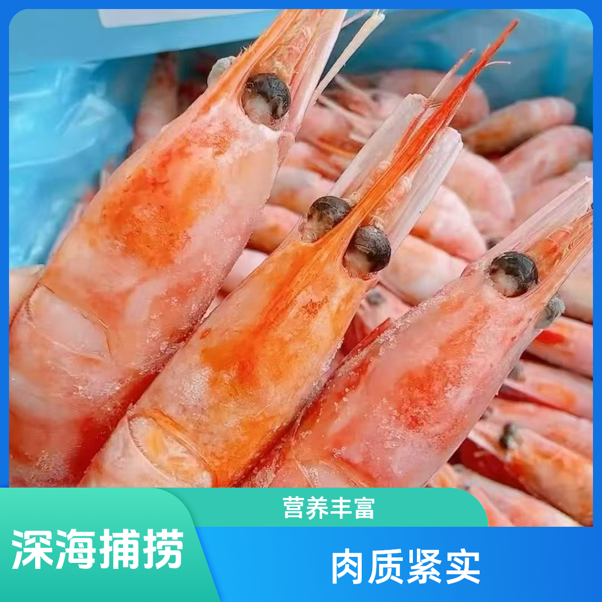 北极头籽甜虾净重3斤/盒（送货到小区门口）