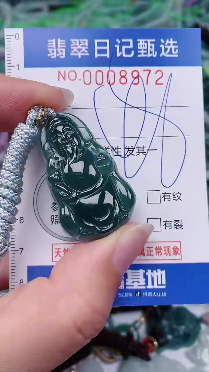 【闪购商品】翡翠颈饰未镶嵌00008972