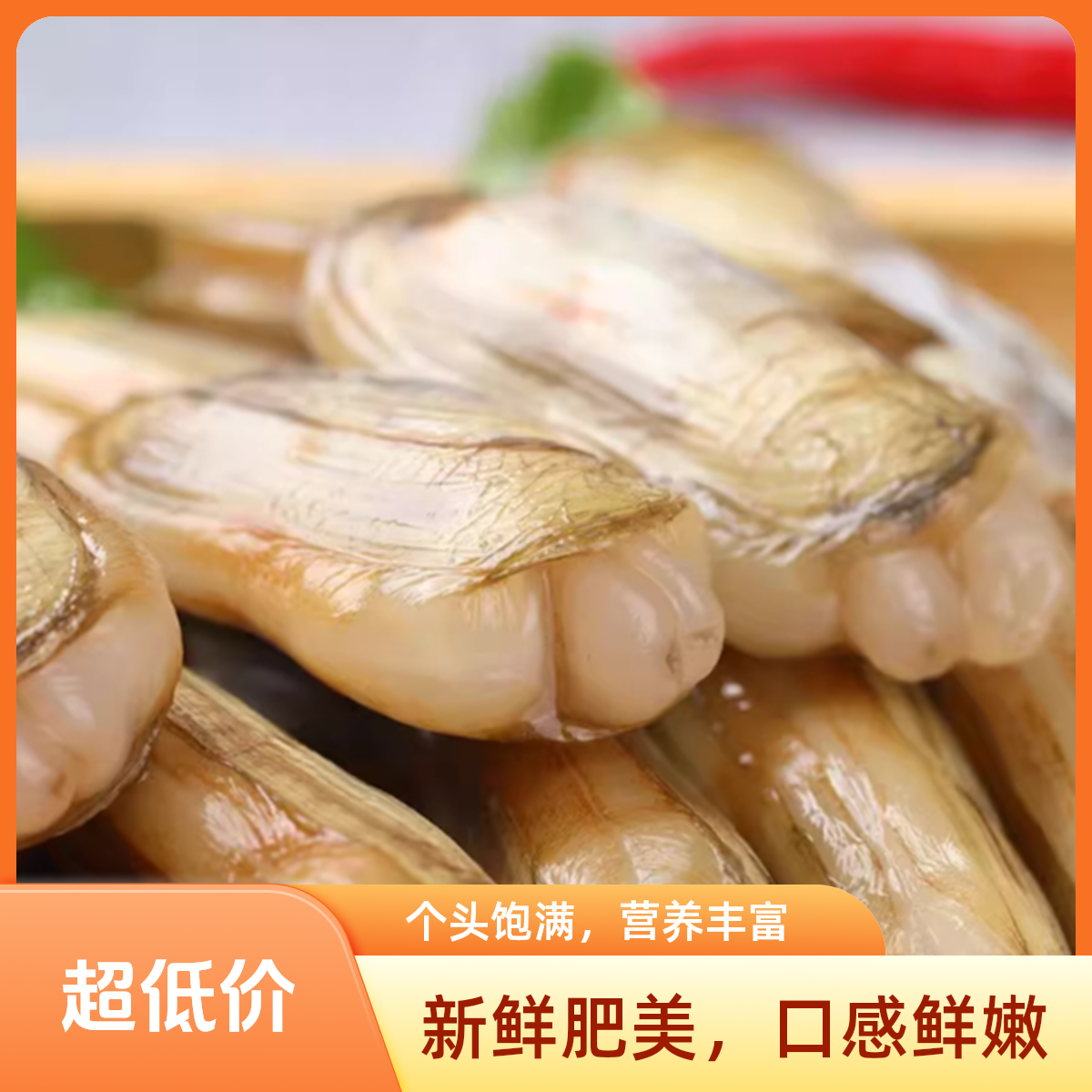 新鲜蛏子鲜活双头蛏子贝类肥海蛏约450g