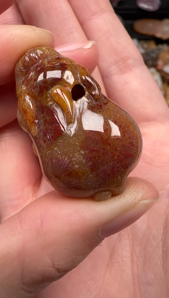 硅化珊瑚（珊瑚玉）未镶嵌颈饰348