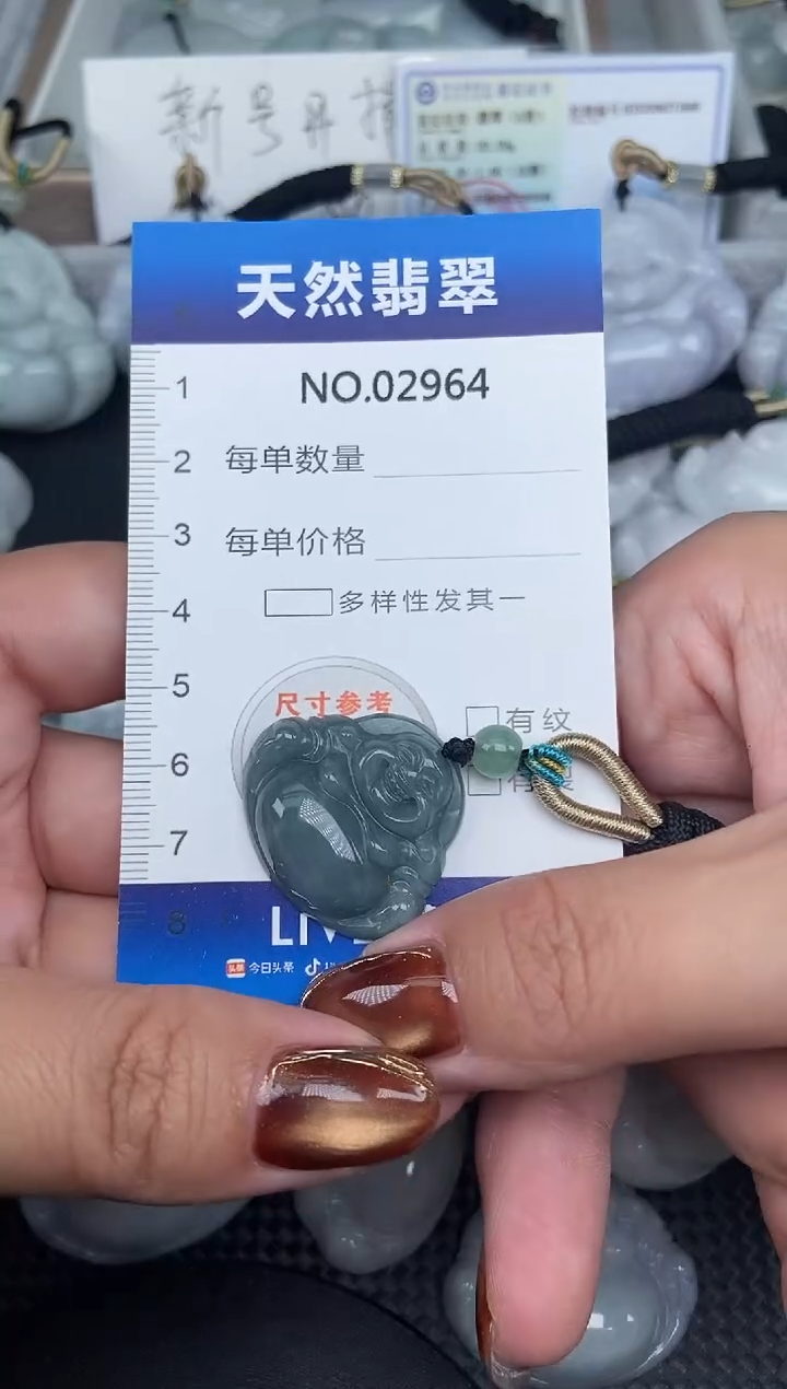 颈饰未镶嵌翡翠纯天然A货翡翠2964