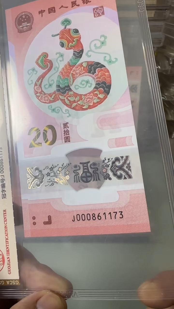 【闪购商品】塑料000861173-蛇钞单张