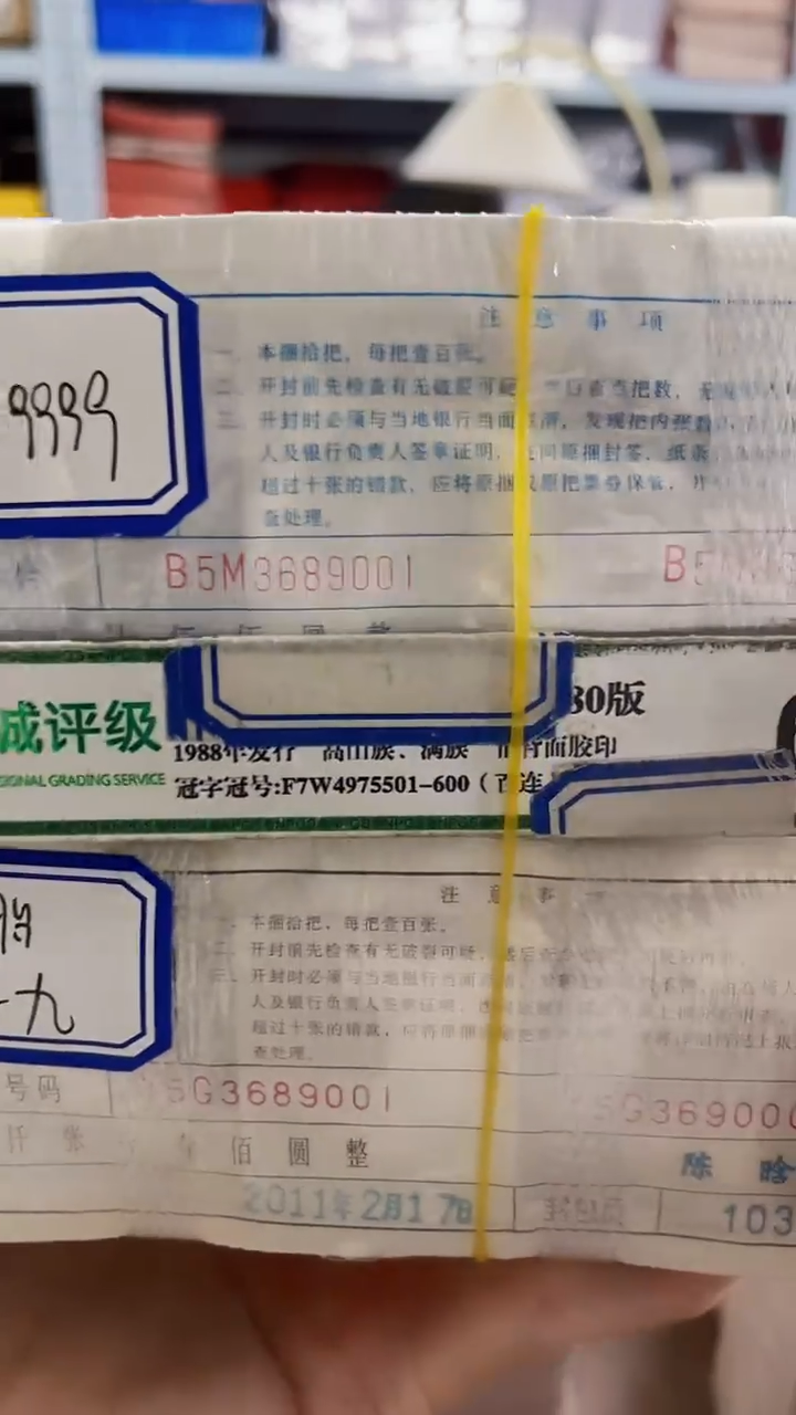 M  0105，龙凤胎，狮子九53689999
