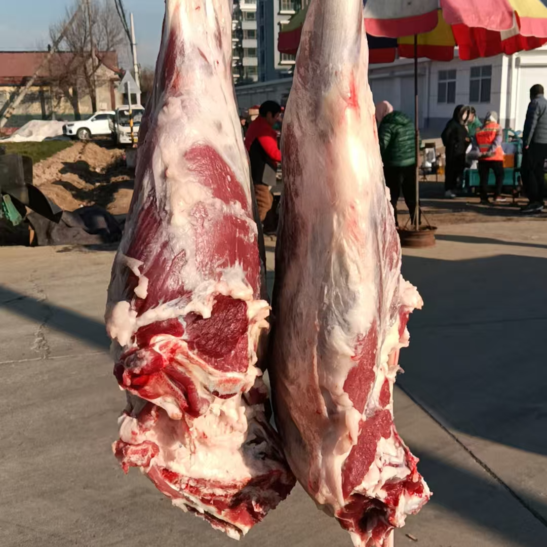 自家养殖新鲜羊排