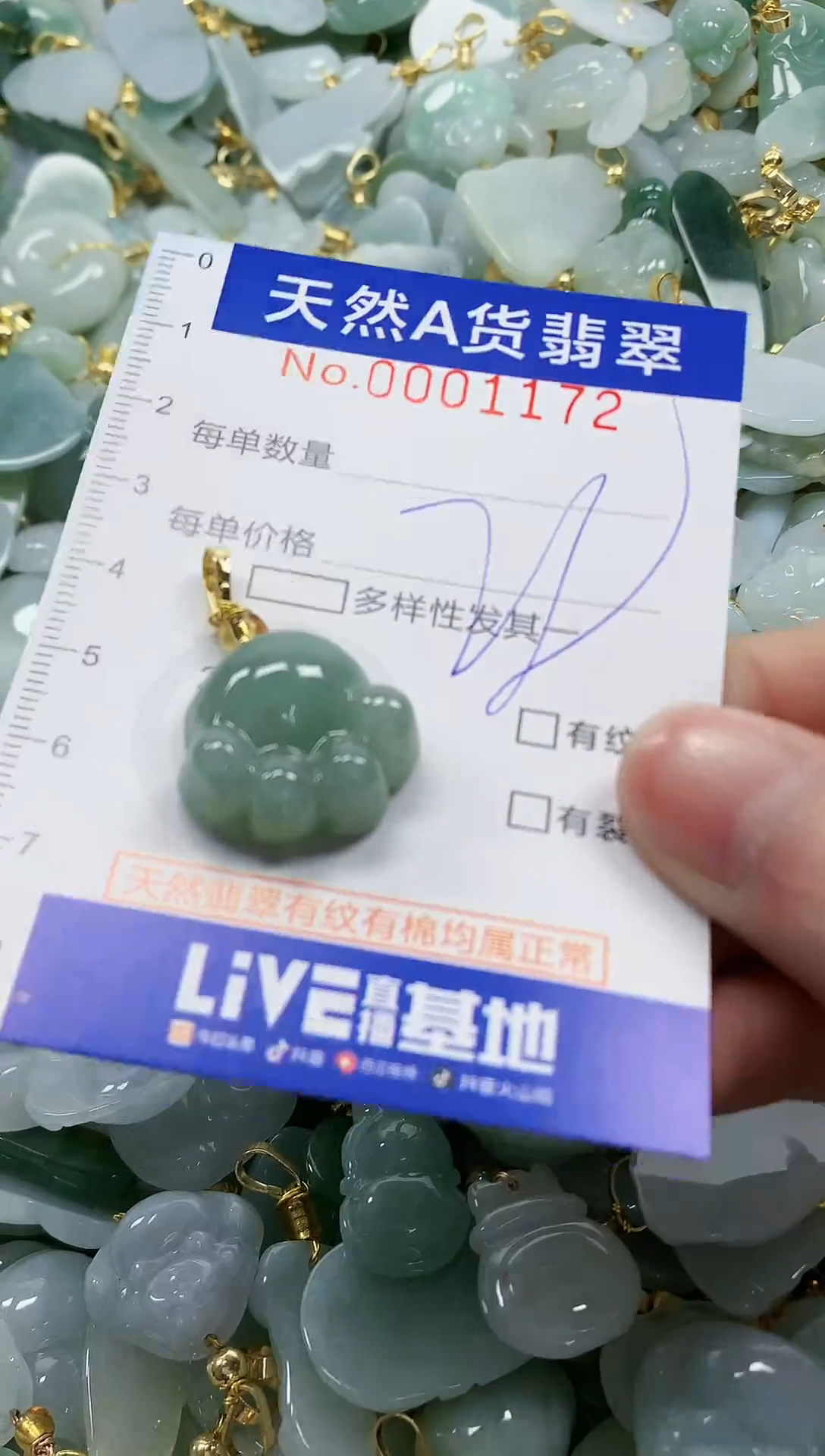 颈饰未镶嵌翡翠纯天然a货翡翠