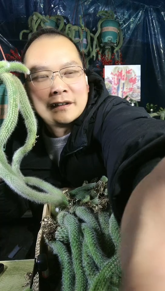 多头大长毛九尾狐