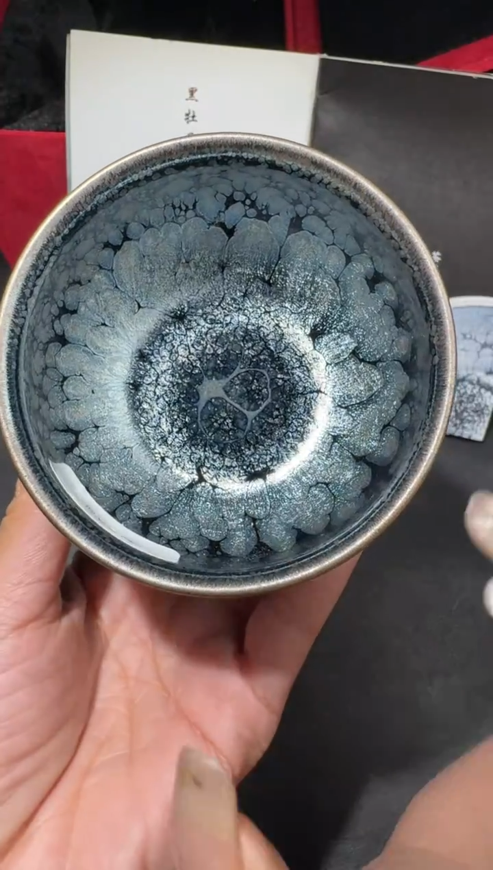茶盏阙梅娇黑牡丹171