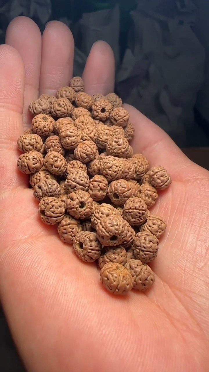 金刚菩提手串非全品老树王散籽8-9mm一份一百颗