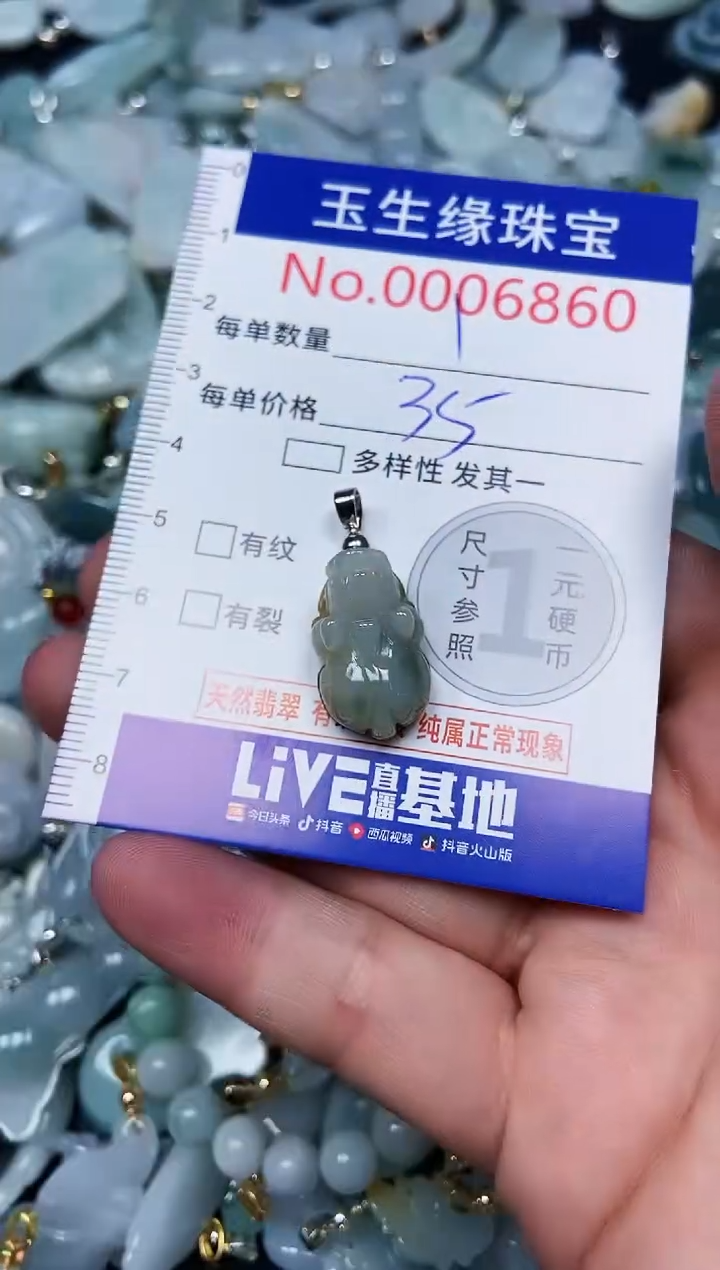 【闪购商品】翡翠颈饰未镶嵌闪购00006860