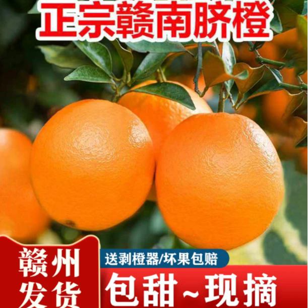 【京东产地直发】赣南脐橙现摘现发9.5分甜0.5分微微果酸含剥橙器