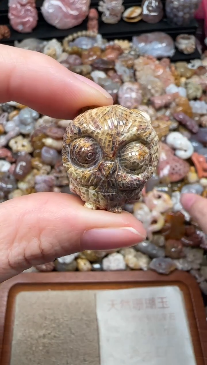 颈饰未镶嵌硅化珊瑚（珊瑚玉）831