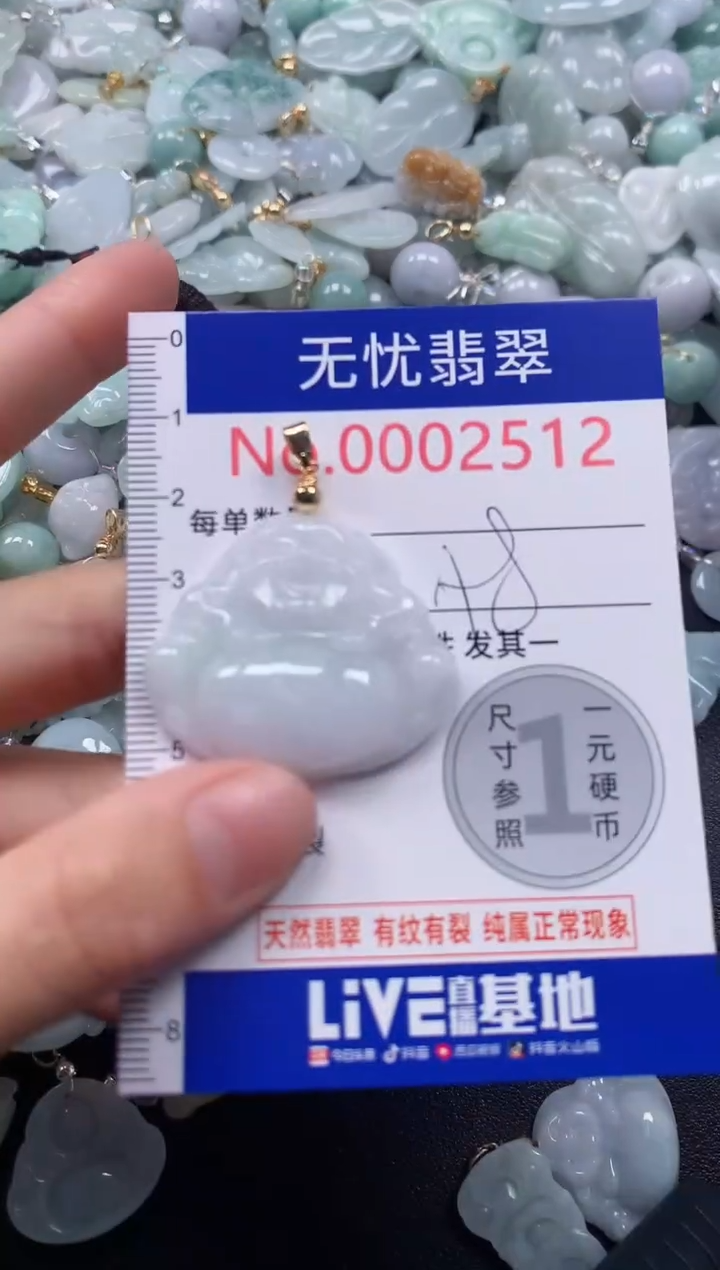 颈饰未镶嵌翡翠2512