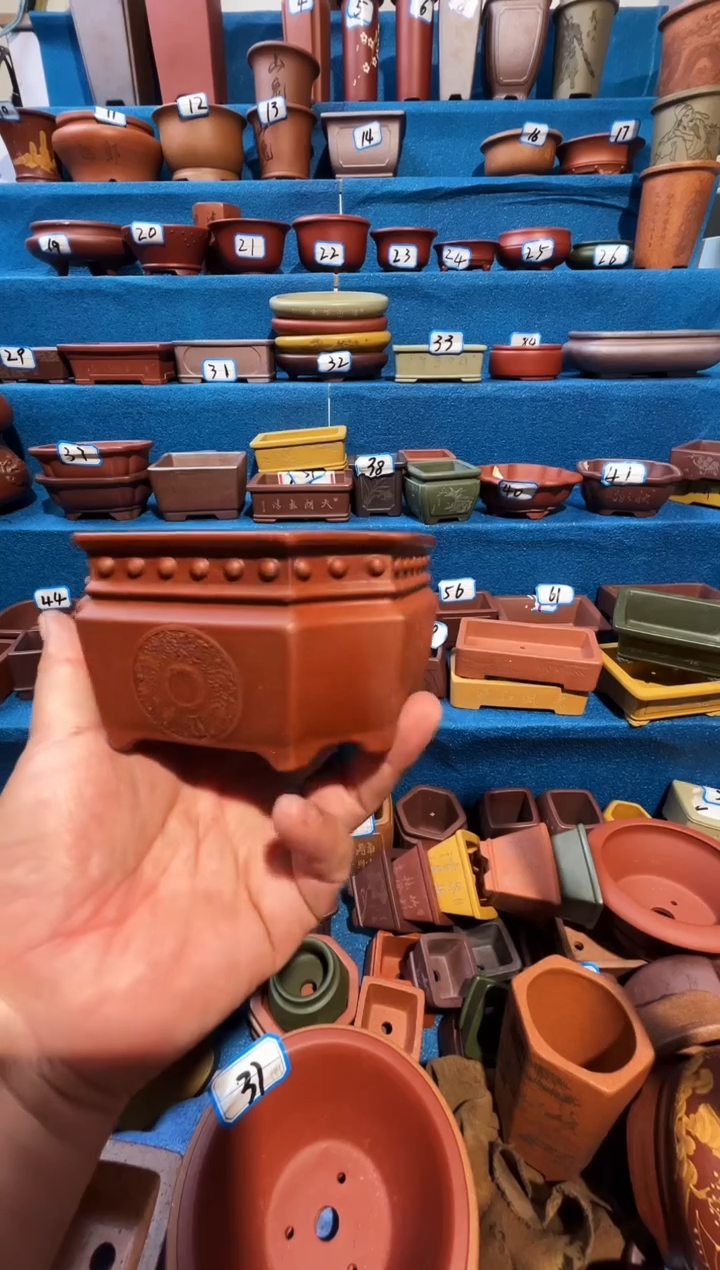 【闪购商品】紫砂紫砂花盆10.5*6