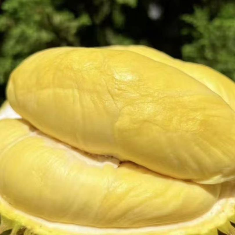 A【嗦哈兄弟直营】泰国进口金枕带壳鲜榴莲鲜果软糯香甜