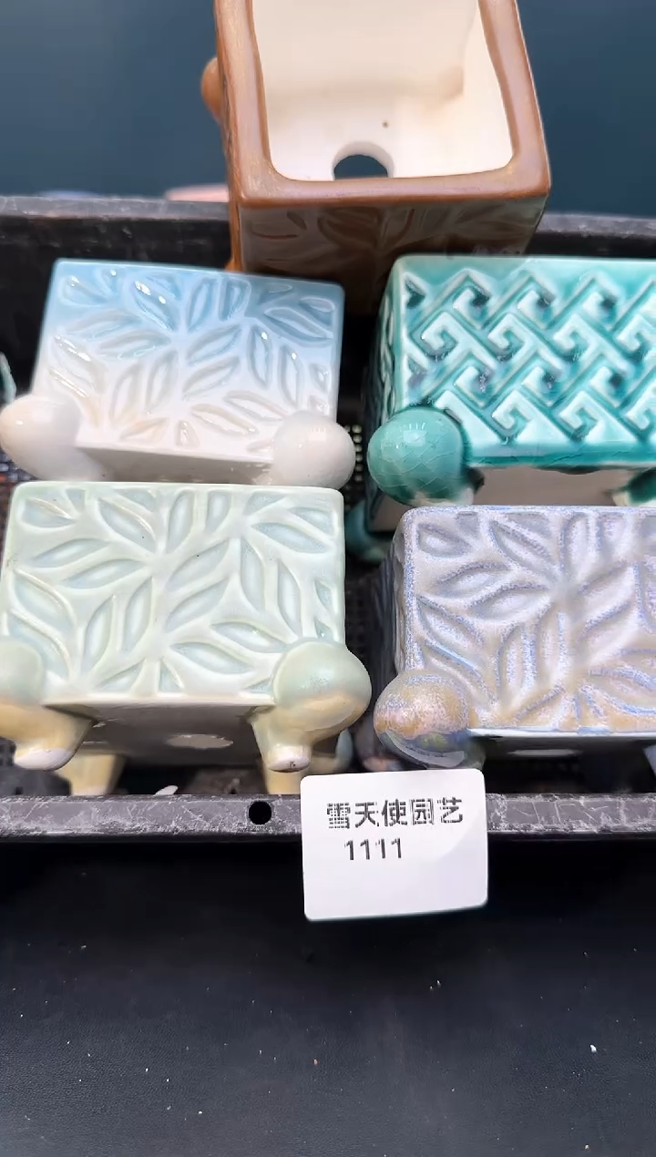 11 11 小蛙腿盆 5 个默认微瑕