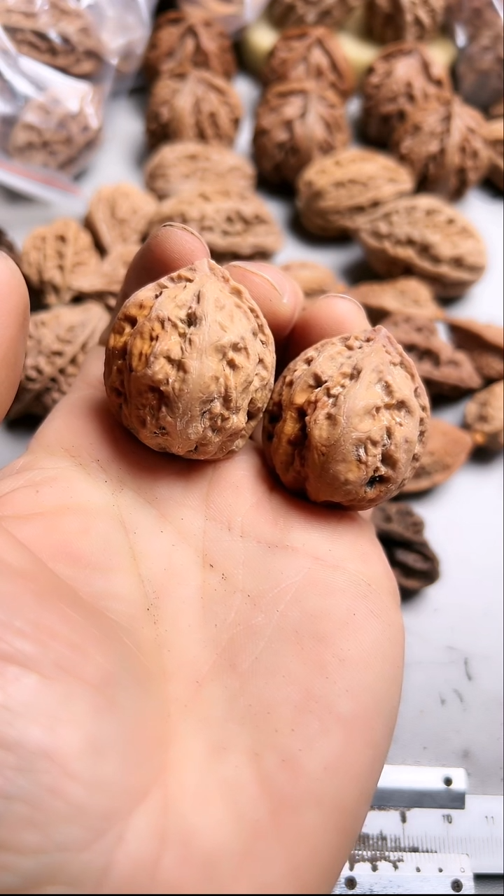 核桃东北野生大秋子5