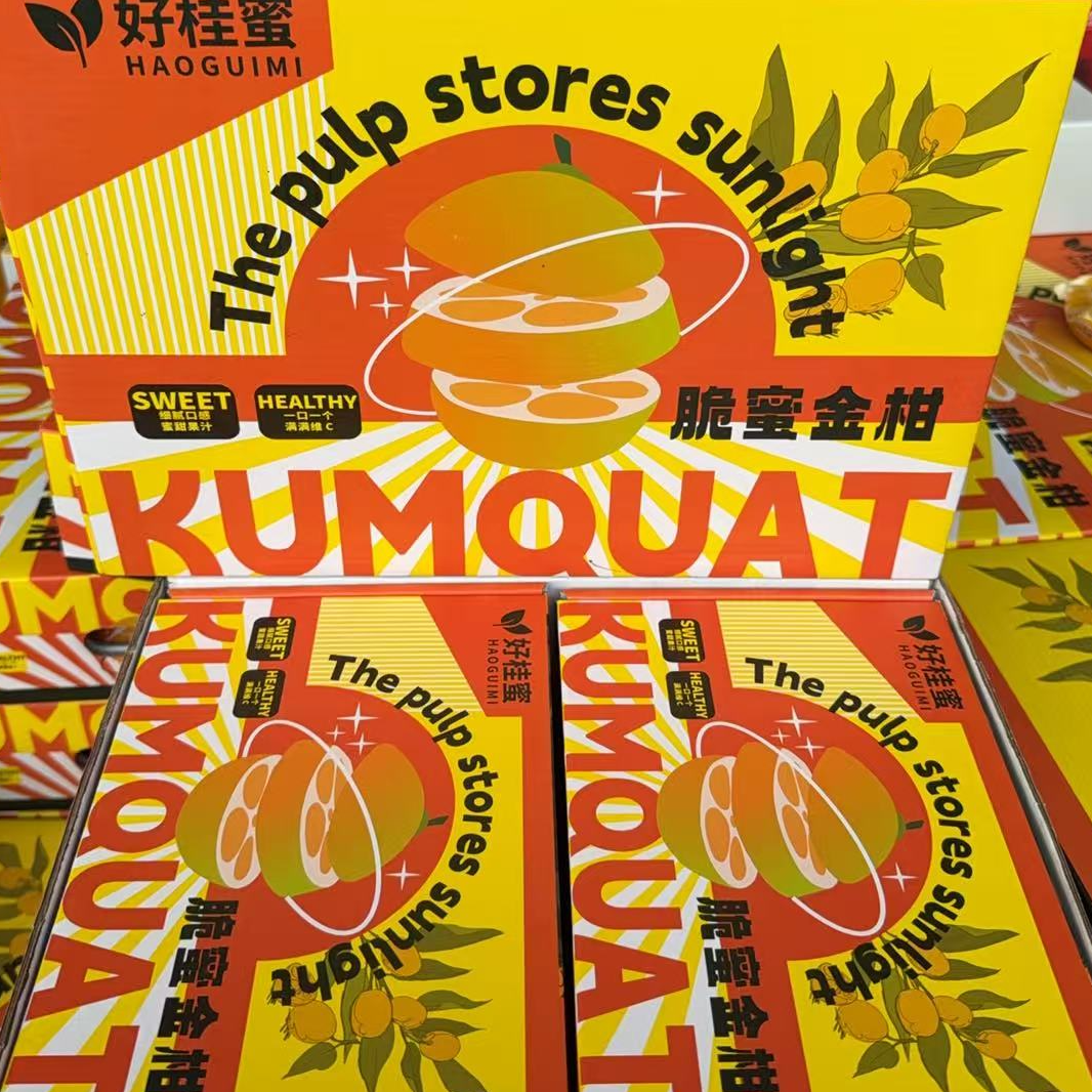 【江浙沪次日达】脆蜜金柑净重1.5斤皮薄脆嫩色泽鲜亮表皮光滑（13）广西壮族自治区