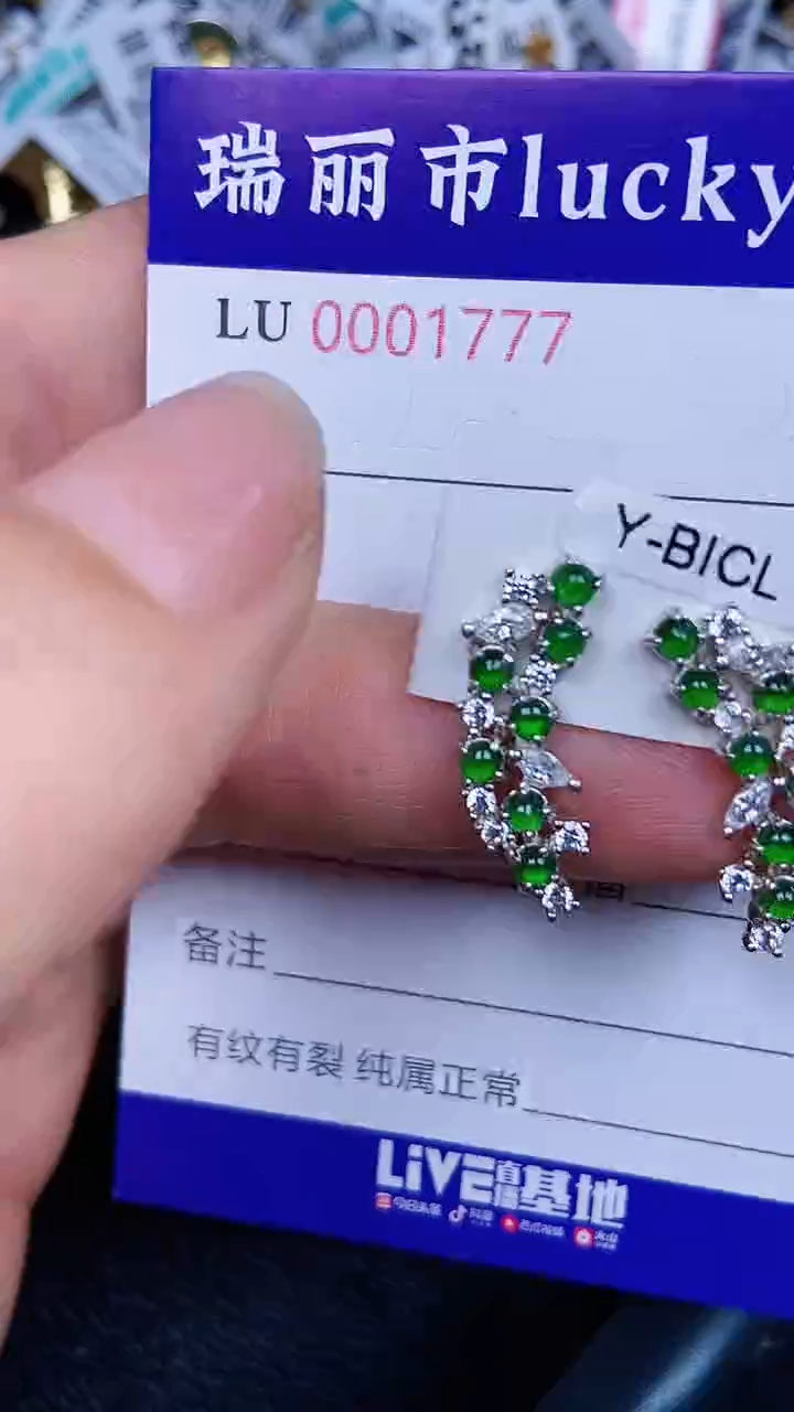 颈饰银S925镶嵌翡翠1777
