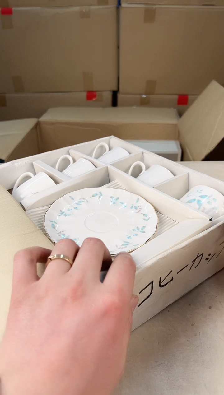 【闪购商品】瓷片737打包不容易，谨慎参拍~~~！