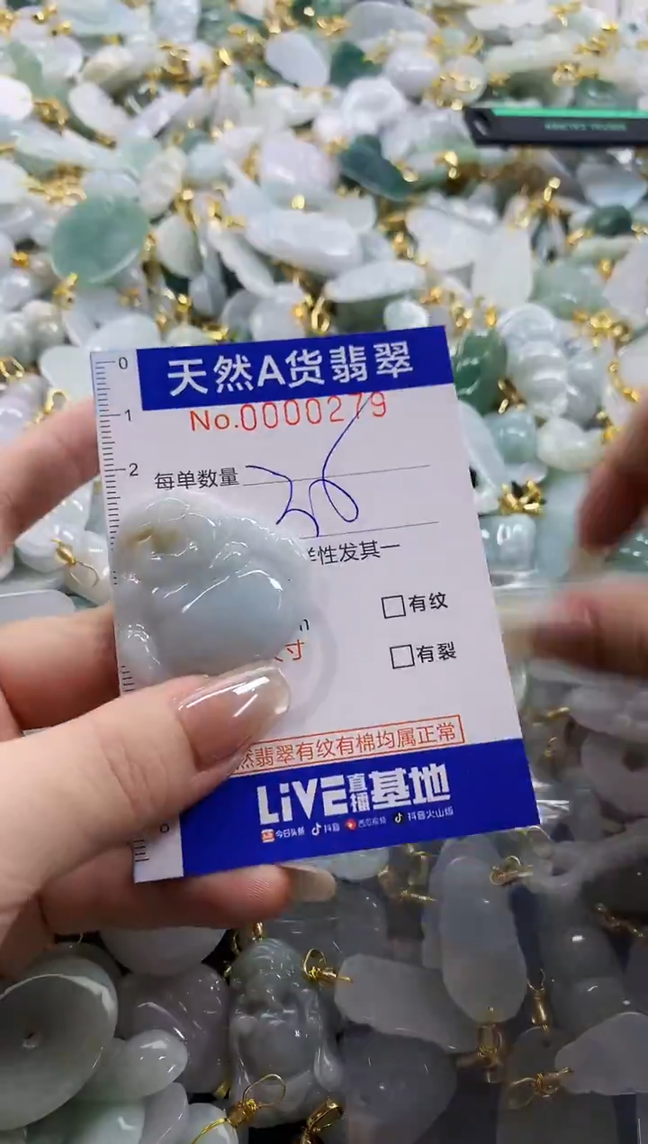 颈饰未镶嵌翡翠天然A货翡翠1