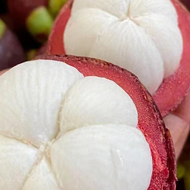 3A现货冷链泰国新鲜进口山竹老树麻竹果肉雪白