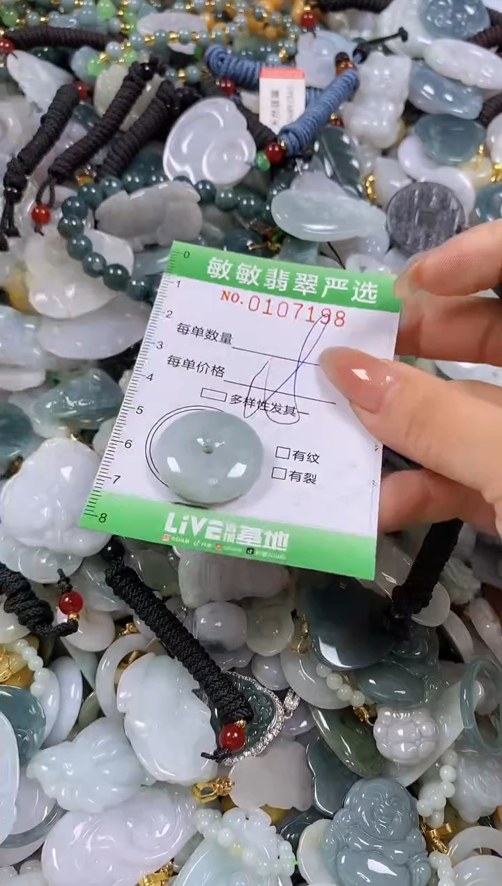 【闪购商品】翡翠颈饰未镶嵌闪购0107198