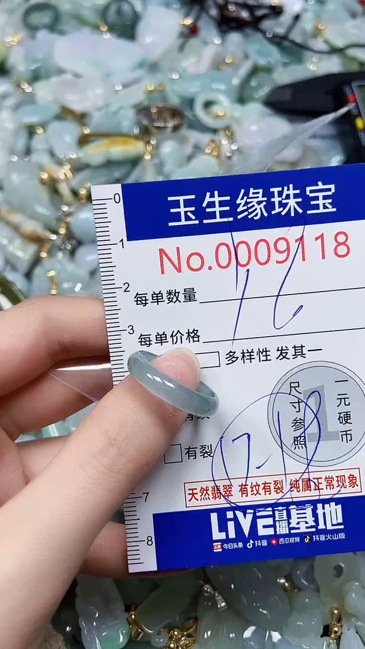 【闪购商品】翡翠颈饰未镶嵌闪购00009118