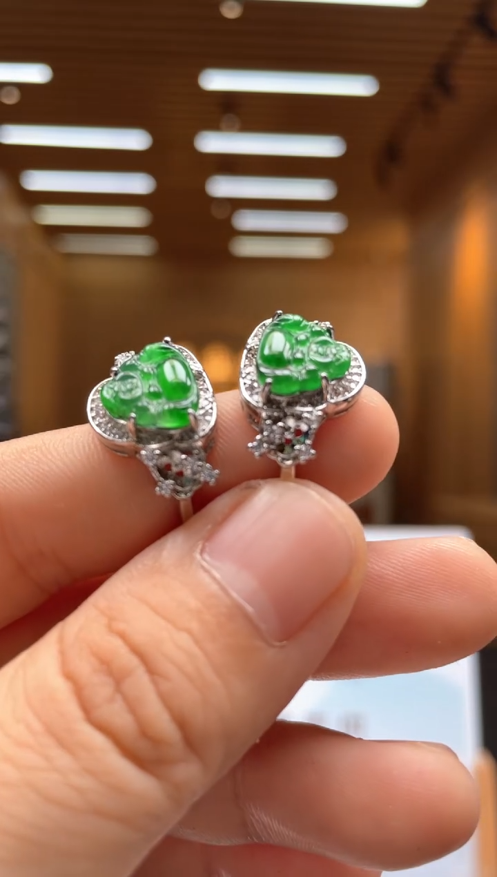 颈饰未镶嵌翡翠多样性发货（只发一件）x11