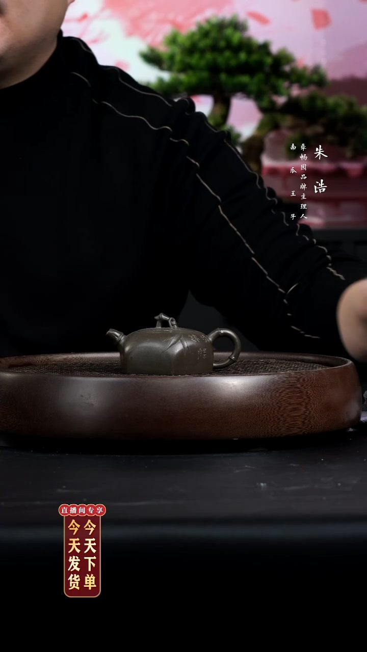 【闪购商品】紫砂茶壶0207早直播CZ月下潇湘