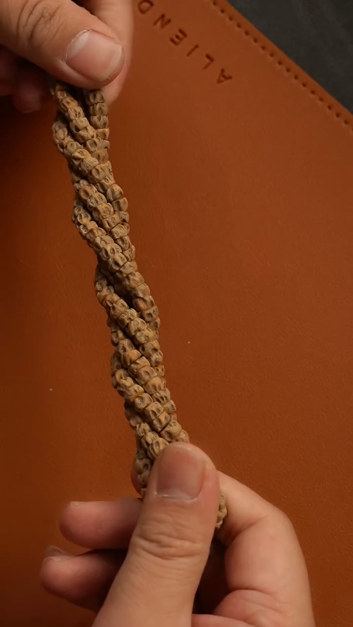 【闪购商品】柏香籽/百香籽吊坠《冥王大肠》