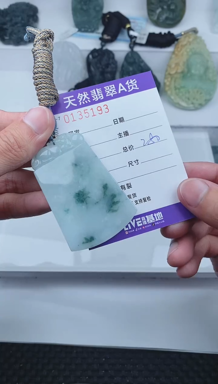 【闪购商品】翡翠颈饰未镶嵌       193