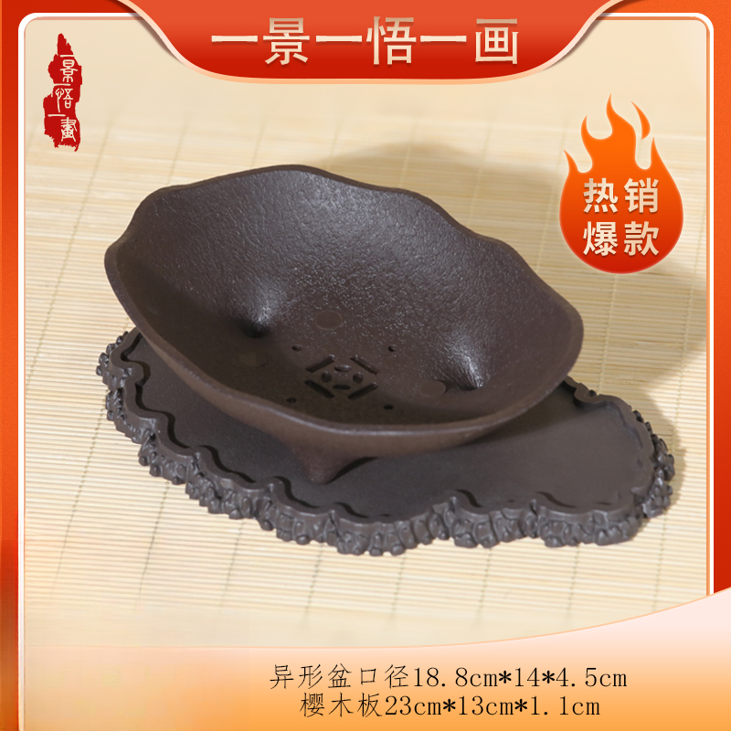 一景一悟一画【厂家直发】耐用加厚树脂异形花盆透气家用盆景精选