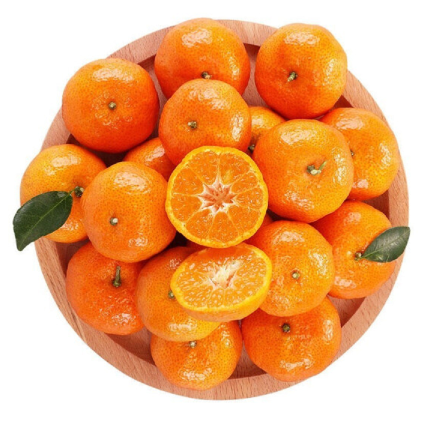 沙糖桔森牌砂糖橘-1斤